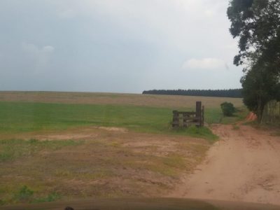 Vendo Hacienda de 1.403 has. en Santa Rita – Alto Parana